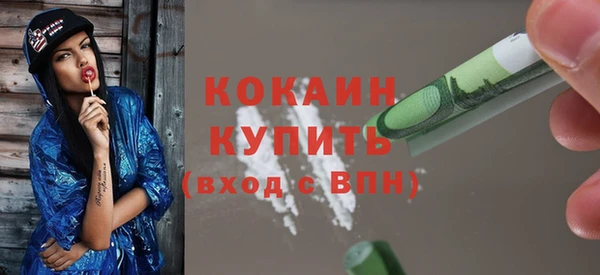 кокс Алексин