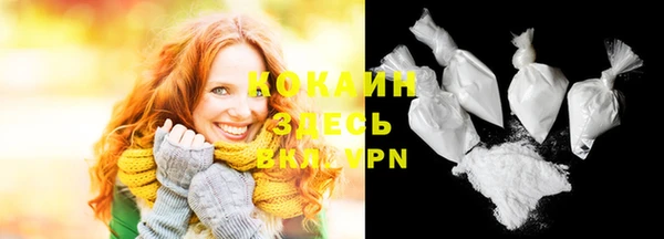 соль ск Алзамай