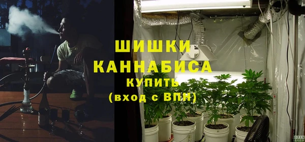 соль ск Алзамай