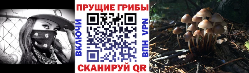 закладка  Бокситогорск  Галлюциногенные грибы мухоморы 